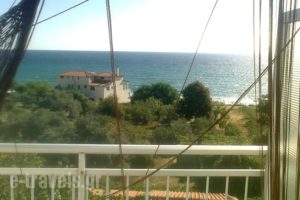 House Mantesos_holidays_in_Hotel_Aegean Islands_Thassos_Kinyra