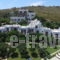 Villa Sofia_holidays_in_Villa_Cyclades Islands_Andros_Agios Petros