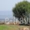 Nicholas Beach Studios_best prices_in_Hotel_Dodekanessos Islands_Rhodes_Lindos