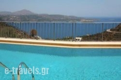 Aptera Paradise_s __1