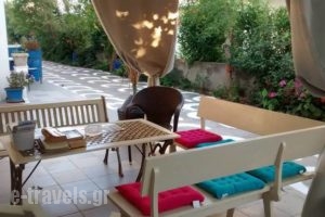 Olga Studios_best deals_Room_Dodekanessos Islands_Rhodes_Faliraki