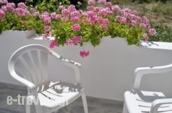Heracles_s __1