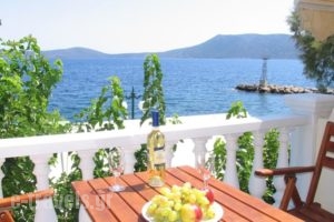 Studios Alexandra_best deals_Hotel_Sporades Islands_Skopelos_Skopelos Chora