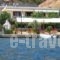 Studios Alexandra_holidays_in_Hotel_Sporades Islands_Skopelos_Skopelos Chora