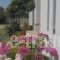Studios Parian Blu_best prices_in_Hotel_Cyclades Islands_Antiparos_Antiparos Chora