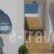 Studios Parian Blu_holidays_in_Hotel_Cyclades Islands_Antiparos_Antiparos Chora