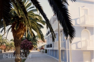 Blue Paradise Studios_holidays_in_Apartment_Ionian Islands_Kefalonia_Argostoli