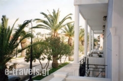 Blue Paradise Studios_s __1