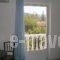 Blue Paradise Studios_lowest prices_in_Apartment_Ionian Islands_Kefalonia_Argostoli