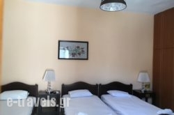 Virvilis_s __1
