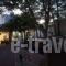 Eleni's Studios_best deals_Room_Piraeus Islands - Trizonia_Kithira_Kithira Chora