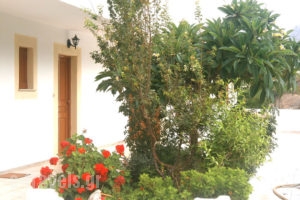 Zoe Studios_best prices_in_Apartment_Dodekanessos Islands_Karpathos_Karpathosora