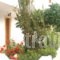 Zoe Studios_best prices_in_Apartment_Dodekanessos Islands_Karpathos_Karpathosora