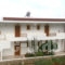 Zoe Studios_holidays_in_Apartment_Dodekanessos Islands_Karpathos_Karpathosora