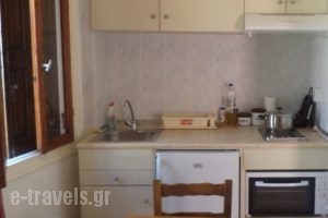 Irgo Studios_best prices_in_Hotel_Aegean Islands_Samos_Pythagorio