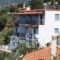 Sea View_best prices_in_Apartment_Sporades Islands_Skopelos_Skopelos Chora