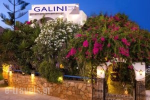 Galini Pension_accommodation_in_Hotel_Cyclades Islands_Ios_Ios Chora