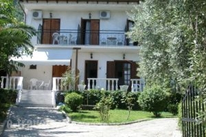 Viki Studios and Apartments_accommodation_in_Apartment_Aegean Islands_Thassos_Limenaria