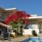 Cormoranos Apartments_accommodation_in_Apartment_Crete_Chania_Kissamos