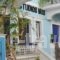 Studios Iris_accommodation_in_Hotel_Aegean Islands_Samos_Pythagorio