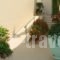 Maria & Kyros House_holidays_in_Hotel_Epirus_Preveza_Parga