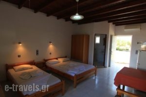 Ledakis Studios_best prices_in_Hotel_Crete_Chania_Sfakia