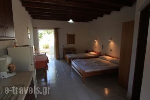 Ledakis Studios_holidays_in_Hotel_Crete_Chania_Sfakia