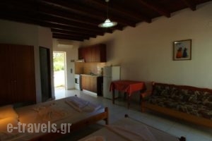 Ledakis Studios_best deals_Hotel_Crete_Chania_Sfakia