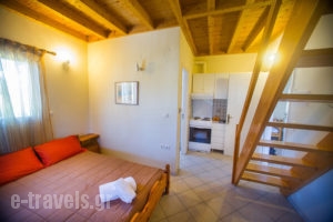Studios Konstantina_best prices_in_Room_Epirus_Preveza_Lygia