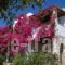 Kelly'S_accommodation_in_Hotel_Cyclades Islands_Antiparos_Antiparos Chora