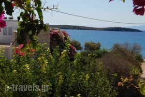Kelly'S_lowest prices_in_Hotel_Cyclades Islands_Antiparos_Antiparos Chora