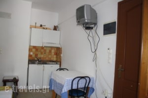 Studios Pasas_holidays_in_Room_Cyclades Islands_Naxos_Naxos Chora