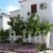 Studios Calvinos_holidays_in_Hotel_Aegean Islands_Samos_Marathokambos