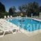 Kalypso Studios_accommodation_in_Apartment_Ionian Islands_Corfu_Kavos