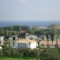 Valentino Villas & Apartments_lowest prices_in_Villa_Ionian Islands_Zakinthos_Zakinthos Rest Areas