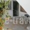 Mandorla Apartments_best deals_Apartment_Dodekanessos Islands_Rhodes_Rhodes Areas