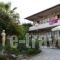 Sun Rise Hotel_best deals_Hotel_Macedonia_Halkidiki_Ierissos