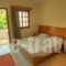 Theatraki Apartments_holidays_in_Apartment_Dodekanessos Islands_Kos_Kos Chora