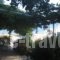 Molyvos Manor_lowest prices_in_Hotel_Aegean Islands_Lesvos_Kalloni