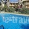 Minoas Hotel_lowest prices_in_Hotel_Crete_Heraklion_Stalida