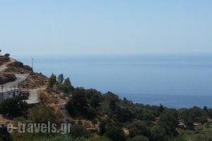 Platanos Studios_best deals_Hotel_Crete_Rethymnon_Plakias