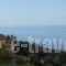 Platanos Studios_best deals_Hotel_Crete_Rethymnon_Plakias