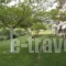 Stella-Meri Studios Apartments_travel_packages_in_Macedonia_Halkidiki_Nea Skioni