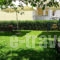 Siviri Rental Houses_best deals_Room_Macedonia_Halkidiki_Siviri