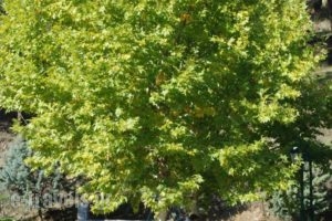 River Side Rooms_holidays_in_Room_Thessaly_Larisa_Elassona