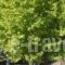 River Side Rooms_holidays_in_Room_Thessaly_Larisa_Elassona