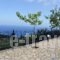 Evi's Studios_holidays_in_Hotel_Ionian Islands_Lefkada_Lefkada Rest Areas