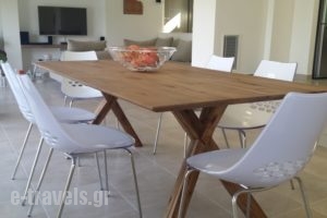 Villa Breeze_accommodation_in_Villa_Crete_Chania_Chania City