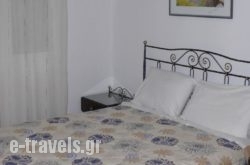 Hotel Andreas_s __1