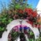Helliniko_accommodation_in_Hotel_Cyclades Islands_Paros_Paros Chora